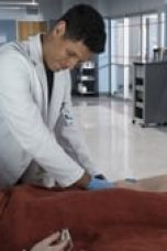 Nonton film The Good Doctor Season 1 Episode 18 Subtitle Indonesia Streaming Movie Download Gratis Online