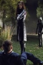 Nonton film Arrow Season 1 Episode 8 Subtitle Indonesia Streaming Movie Download Gratis Online