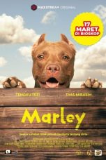 nZE4JhSZn6Bk7apHBP0aFZ1MFZg